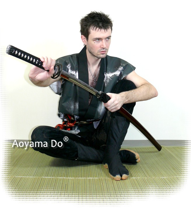 японские самурайские мечи катана и вакидзаси