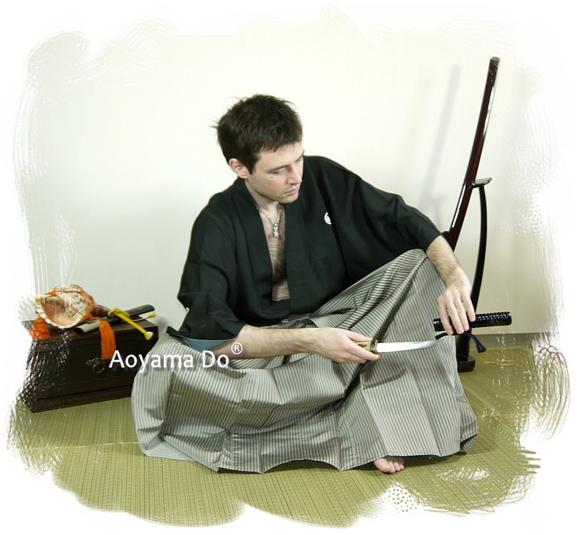kollekcionnye японские кинжалы и кинжалы танто