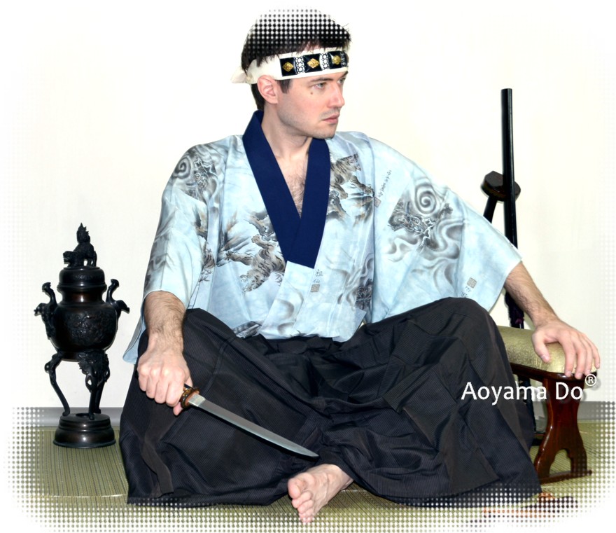 самурайский воин и коллекционные мечи и самурайские кинжалы